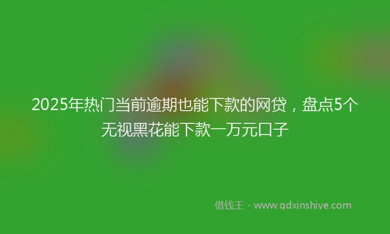2025年热门当前逾期也能下款的网贷，盘点5个无视黑花能下款一万元口子