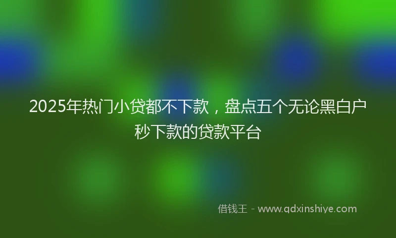 2025年热门小贷都不下款，盘点五个无论黑白户秒下款的贷款平台
