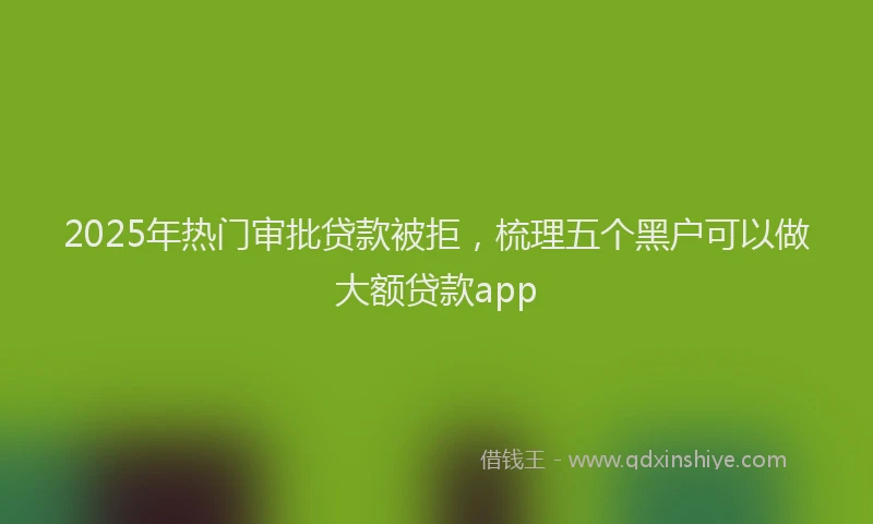 2025年热门审批贷款被拒，梳理五个黑户可以做大额贷款app