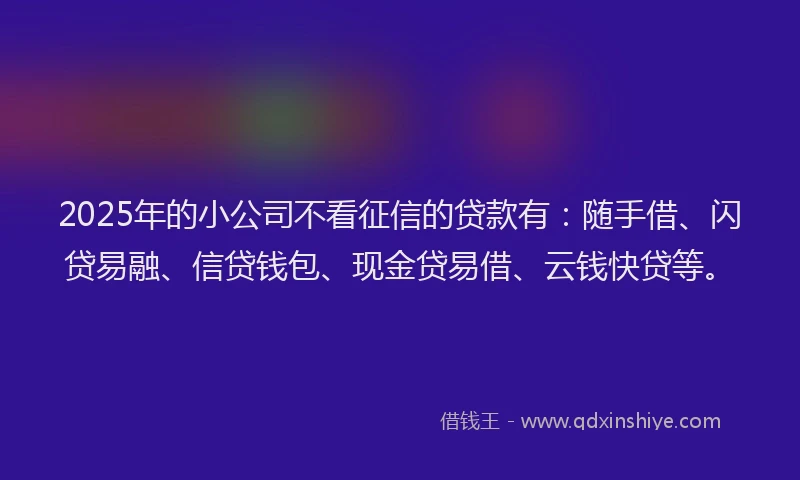 2025年的小公司不看征信的贷款有：随手借、闪贷易融、信贷钱包、现金贷易借、云钱快贷等。