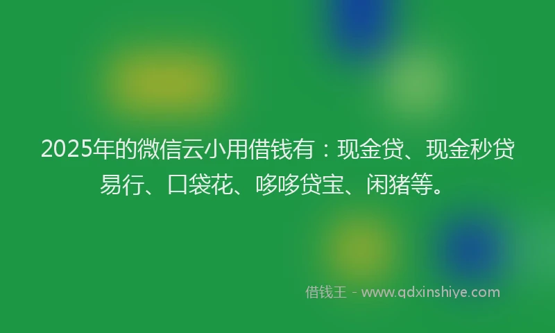 2025年的微信云小用借钱有：现金贷、现金秒贷易行、口袋花、哆哆贷宝、闲猪等。