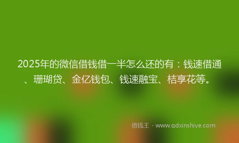 2025年的微信借钱借一半怎么还的有：钱速借通、珊瑚贷、金亿钱包、钱速融宝、桔享花等。