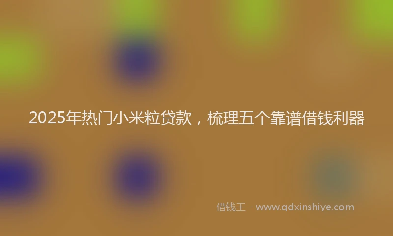 2025年热门小米粒贷款，梳理五个靠谱借钱利器