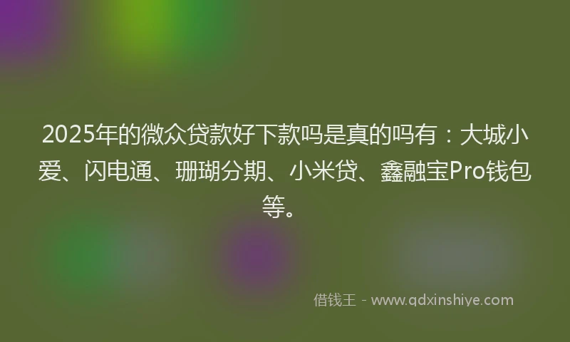 2025年的微众贷款好下款吗是真的吗有：大城小爱、闪电通、珊瑚分期、小米贷、鑫融宝Pro钱包等。