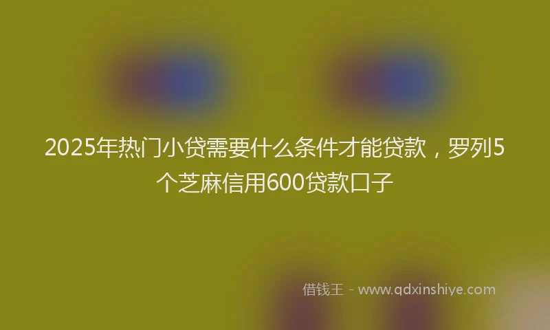 2025年热门小贷需要什么条件才能贷款，罗列5个芝麻信用600贷款口子