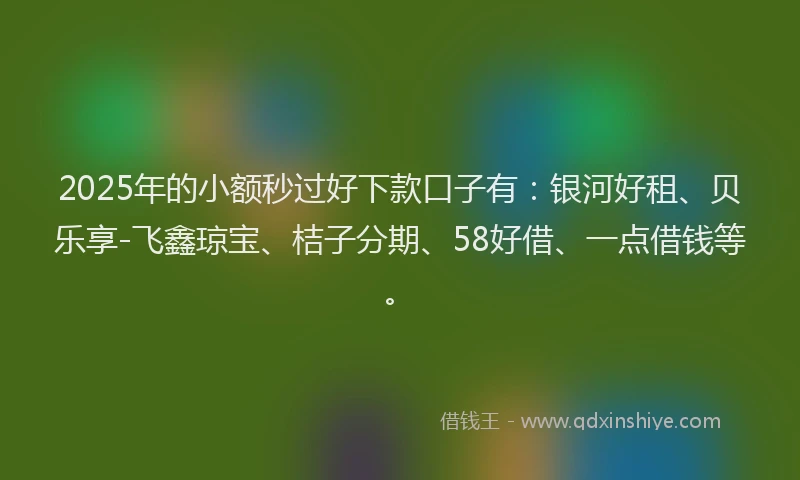 2025年的小额秒过好下款口子有：银河好租、贝乐享-飞鑫琼宝、桔子分期、58好借、一点借钱等。