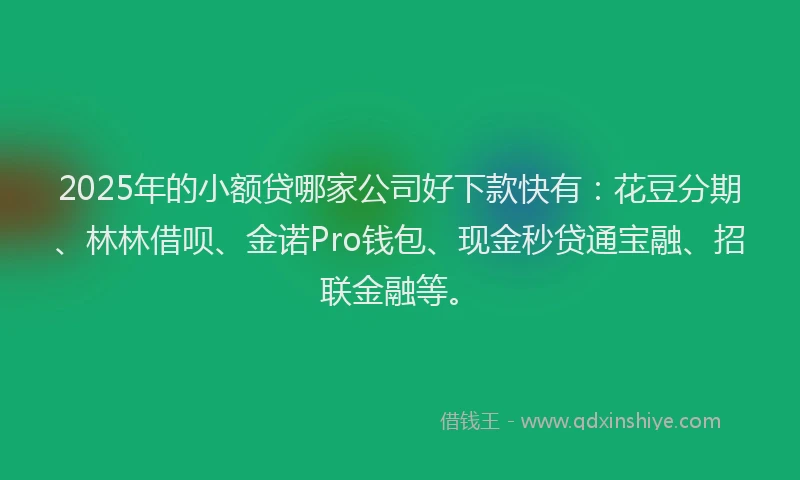 2025年的小额贷哪家公司好下款快有：花豆分期、林林借呗、金诺Pro钱包、现金秒贷通宝融、招联金融等。