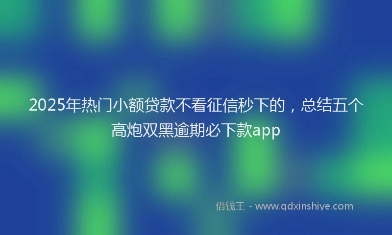 2025年热门小额贷款不看征信秒下的，总结五个高炮双黑逾期必下款app