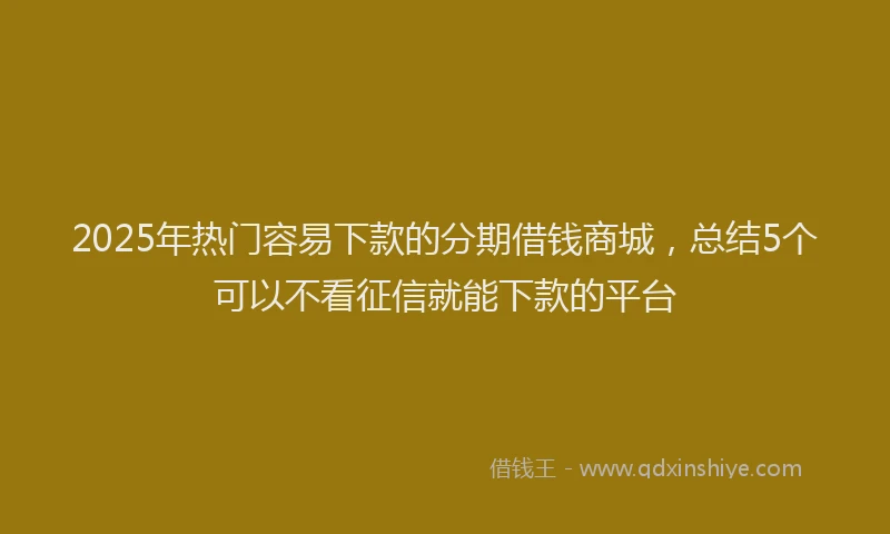 2025年热门容易下款的分期借钱商城，总结5个可以不看征信就能下款的平台