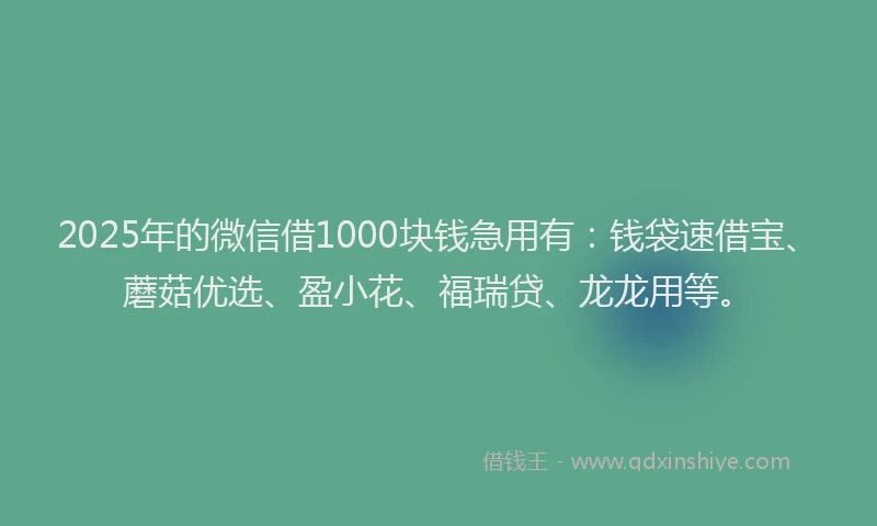 2025年的微信借1000块钱急用有：钱袋速借宝、蘑菇优选、盈小花、福瑞贷、龙龙用等。