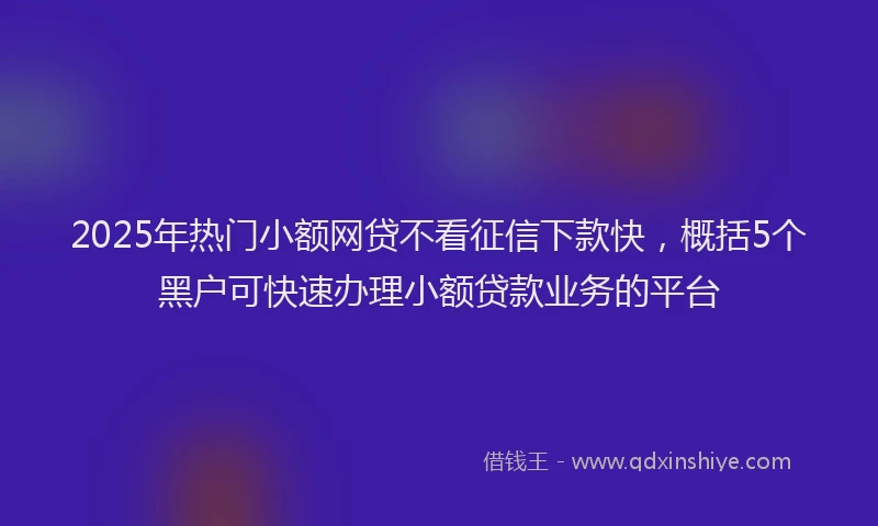 2025年热门小额网贷不看征信下款快，概括5个黑户可快速办理小额贷款业务的平台