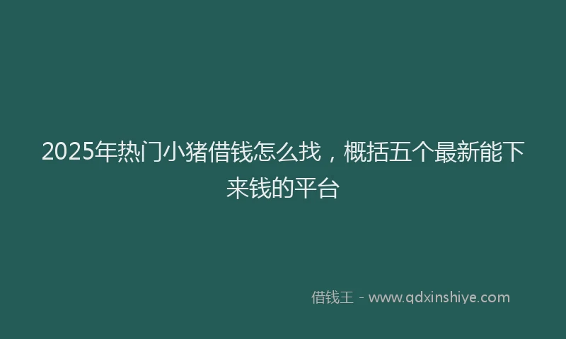 2025年热门小猪借钱怎么找，概括五个最新能下来钱的平台