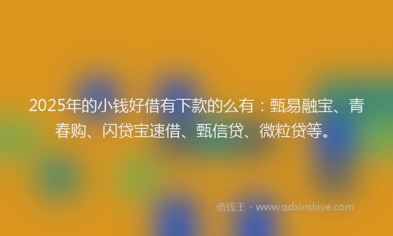 2025年的小钱好借有下款的么有：甄易融宝、青春购、闪贷宝速借、甄信贷、微粒贷等。