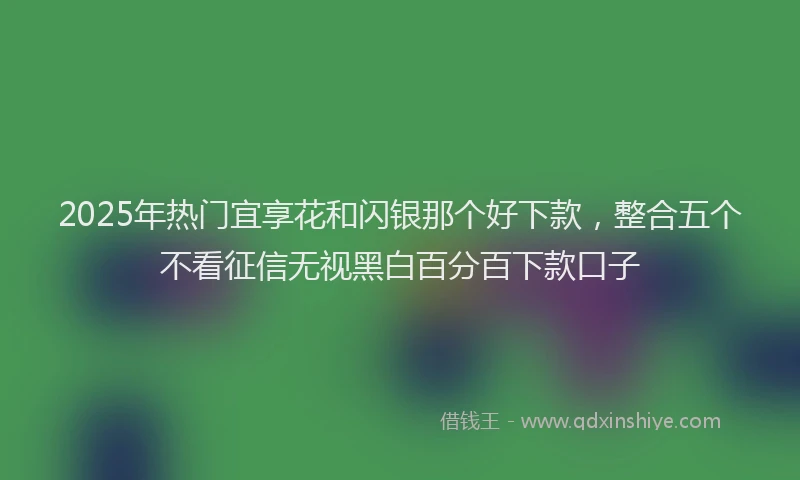 2025年热门宜享花和闪银那个好下款，整合五个不看征信无视黑白百分百下款口子