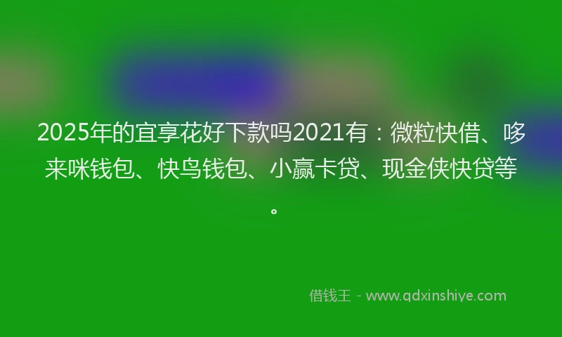 2025年的宜享花好下款吗2021有：微粒快借、哆来咪钱包、快鸟钱包、小赢卡贷、现金侠快贷等。