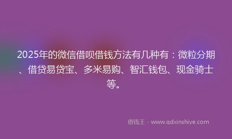 2025年的微信借呗借钱方法有几种有：微粒分期、借贷易贷宝、多米易购、智汇钱包、现金骑士等。