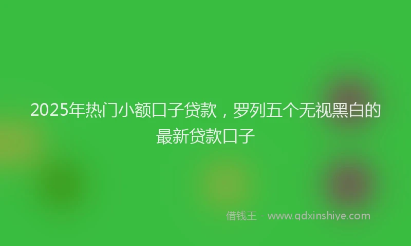 2025年热门小额口子贷款，罗列五个无视黑白的最新贷款口子