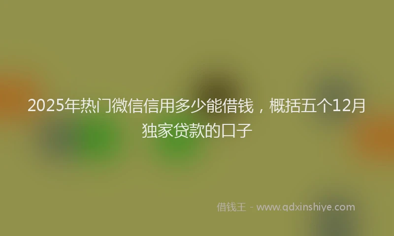 2025年热门微信信用多少能借钱，概括五个12月独家贷款的口子