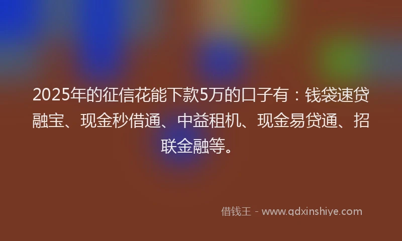 2025年的征信花能下款5万的口子有：钱袋速贷融宝、现金秒借通、中益租机、现金易贷通、招联金融等。