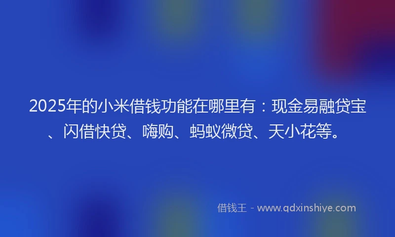 2025年的小米借钱功能在哪里有：现金易融贷宝、闪借快贷、嗨购、蚂蚁微贷、天小花等。