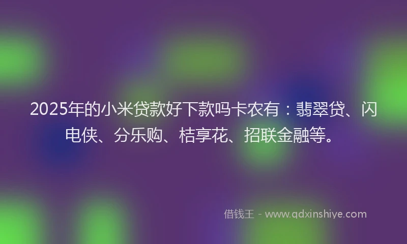 2025年的小米贷款好下款吗卡农有：翡翠贷、闪电侠、分乐购、桔享花、招联金融等。