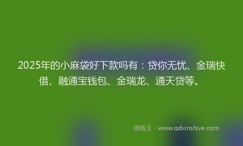 2025年的小麻袋好下款吗有：贷你无忧、金瑞快借、融通宝钱包、金瑞龙、通天贷等。