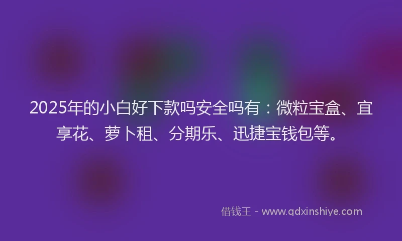 2025年的小白好下款吗安全吗有：微粒宝盒、宜享花、萝卜租、分期乐、迅捷宝钱包等。