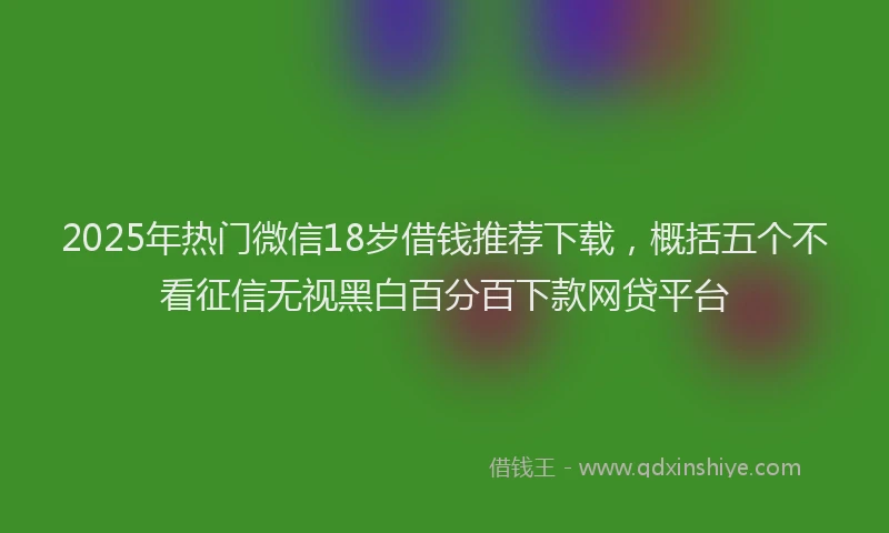 2025年热门微信18岁借钱推荐下载，概括五个不看征信无视黑白百分百下款网贷平台