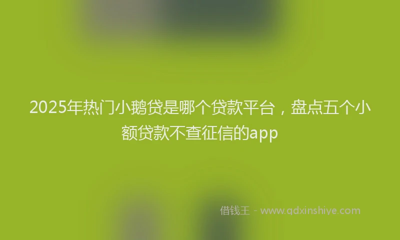 2025年热门小鹅贷是哪个贷款平台，盘点五个小额贷款不查征信的app