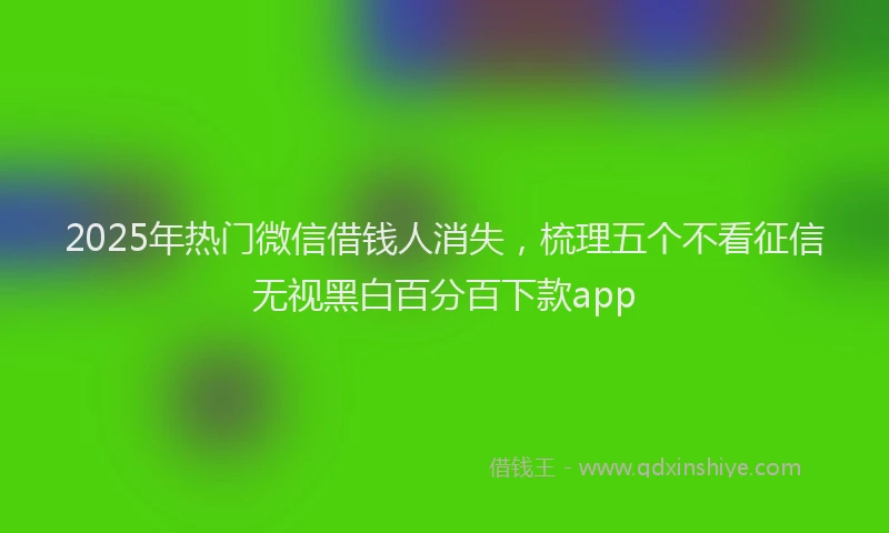 2025年热门微信借钱人消失，梳理五个不看征信无视黑白百分百下款app