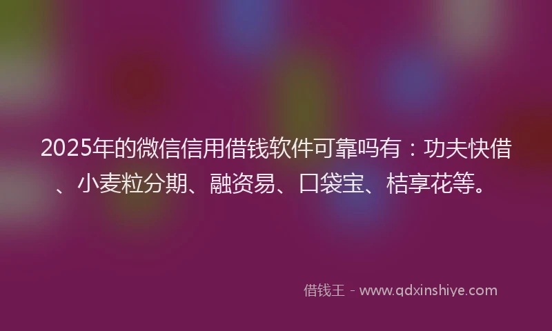 2025年的微信信用借钱软件可靠吗有：功夫快借、小麦粒分期、融资易、口袋宝、桔享花等。