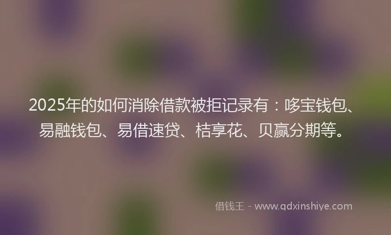 2025年的如何消除借款被拒记录有：哆宝钱包、易融钱包、易借速贷、桔享花、贝赢分期等。
