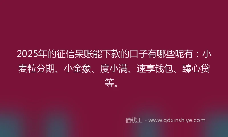 2025年的征信呆账能下款的口子有哪些呢有：小麦粒分期、小金象、度小满、速享钱包、臻心贷等。