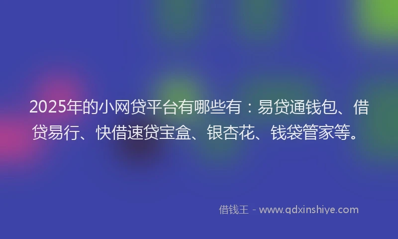 2025年的小网贷平台有哪些有：易贷通钱包、借贷易行、快借速贷宝盒、银杏花、钱袋管家等。