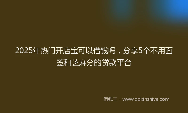 2025年热门开店宝可以借钱吗，分享5个不用面签和芝麻分的贷款平台