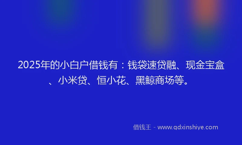 2025年的小白户借钱有：钱袋速贷融、现金宝盒、小米贷、恒小花、黑鲸商场等。