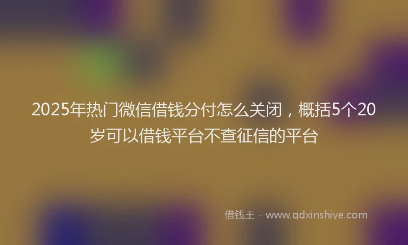 2025年热门微信借钱分付怎么关闭，概括5个20岁可以借钱平台不查征信的平台