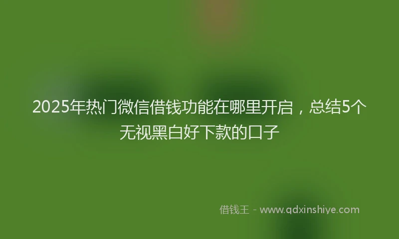 2025年热门微信借钱功能在哪里开启，总结5个无视黑白好下款的口子