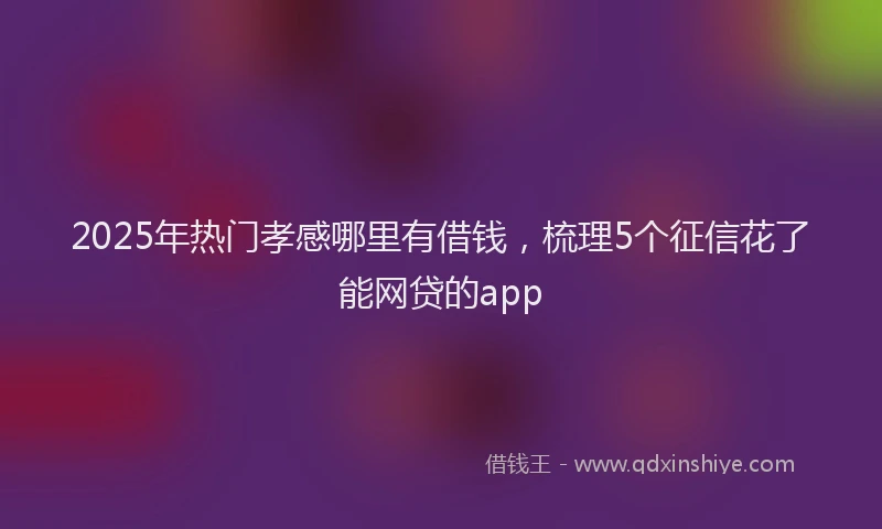 2025年热门孝感哪里有借钱，梳理5个征信花了能网贷的app