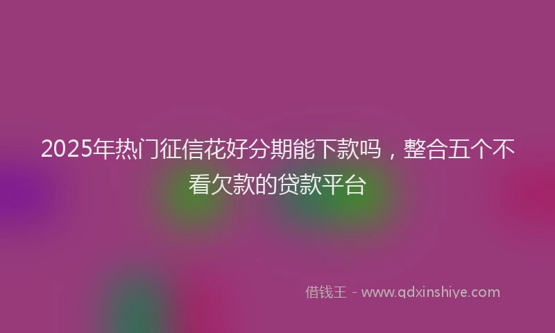 2025年热门征信花好分期能下款吗，整合五个不看欠款的贷款平台