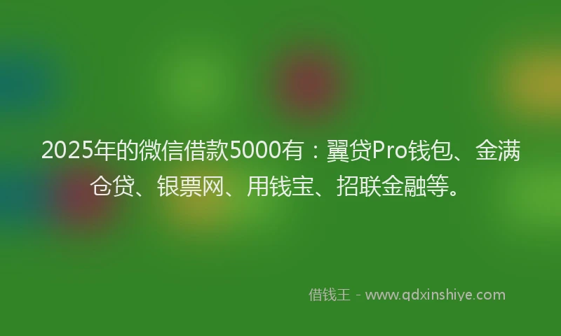 2025年的微信借款5000有：翼贷Pro钱包、金满仓贷、银票网、用钱宝、招联金融等。