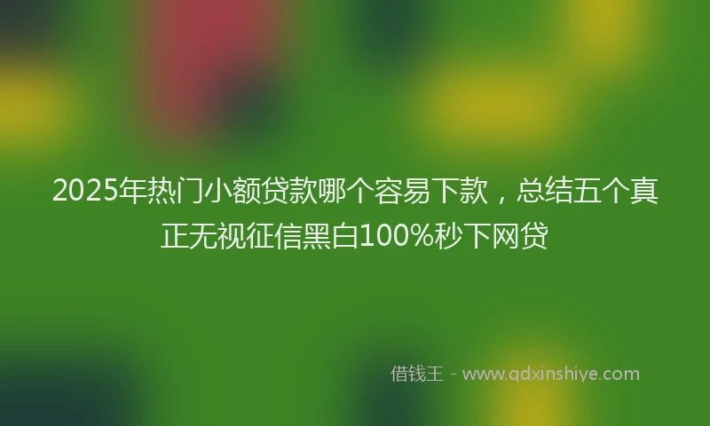2025年热门小额贷款哪个容易下款，总结五个真正无视征信黑白100%秒下网贷
