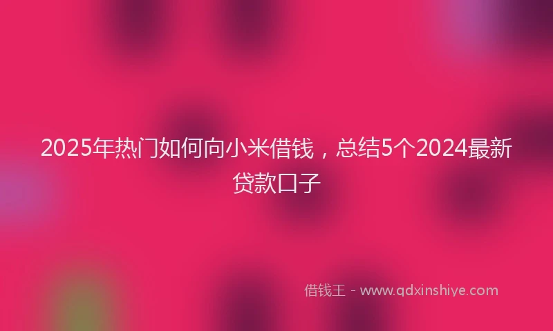 2025年热门如何向小米借钱，总结5个2024最新贷款口子