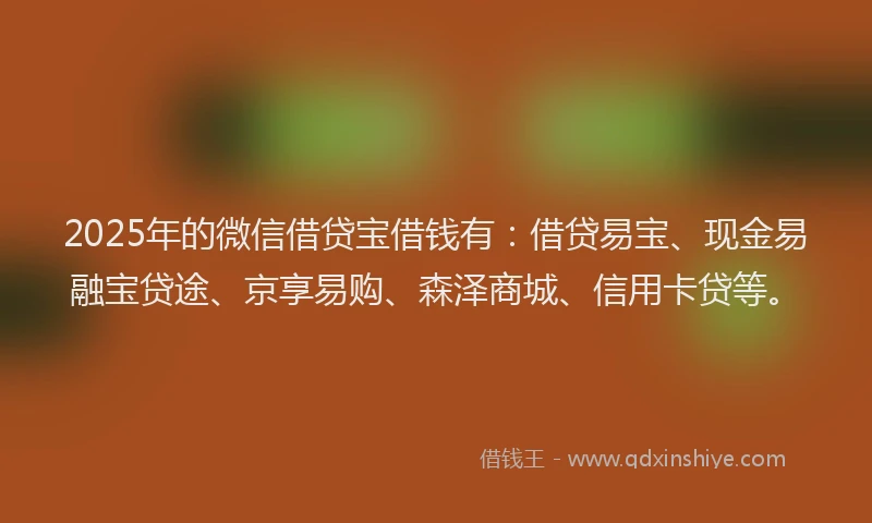 2025年的微信借贷宝借钱有：借贷易宝、现金易融宝贷途、京享易购、森泽商城、信用卡贷等。