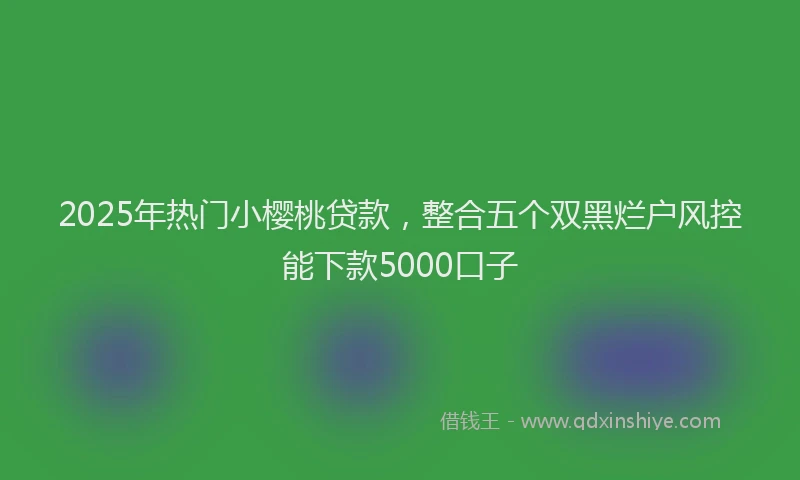 2025年热门小樱桃贷款，整合五个双黑烂户风控能下款5000口子