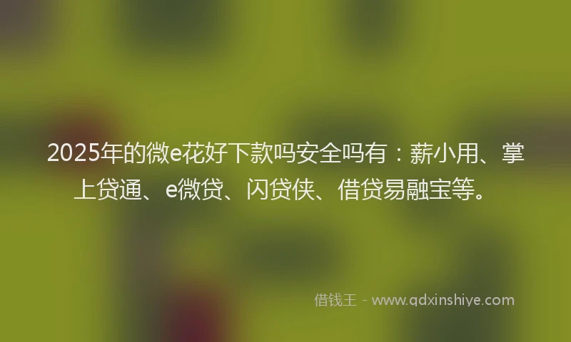 2025年的微e花好下款吗安全吗有：薪小用、掌上贷通、e微贷、闪贷侠、借贷易融宝等。