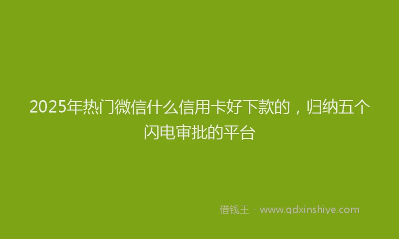2025年热门微信什么信用卡好下款的，归纳五个闪电审批的平台