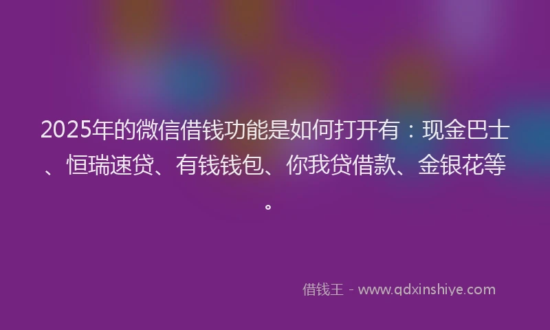 2025年的微信借钱功能是如何打开有：现金巴士、恒瑞速贷、有钱钱包、你我贷借款、金银花等。