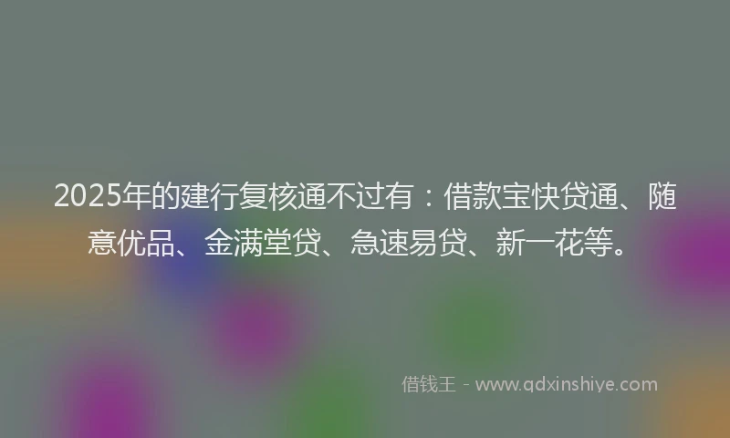 2025年的建行复核通不过有：借款宝快贷通、随意优品、金满堂贷、急速易贷、新一花等。