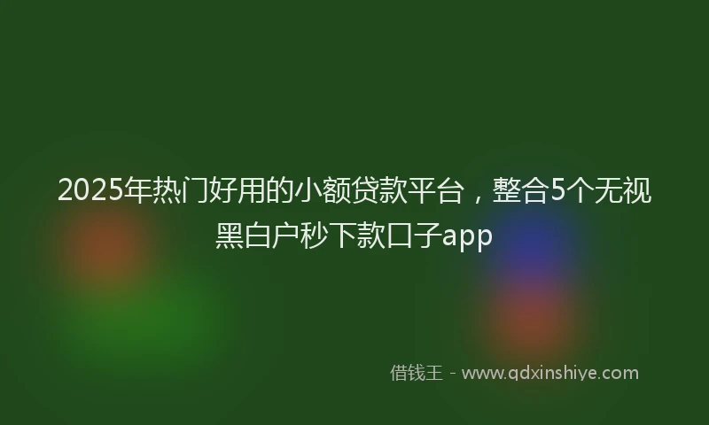 2025年热门好用的小额贷款平台，整合5个无视黑白户秒下款口子app
